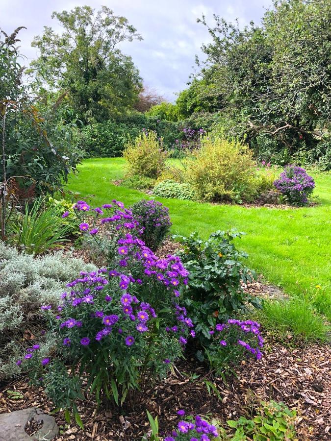 Dingle Garden Townhouse Bed & Breakfast Luaran gambar The gardens at the centre