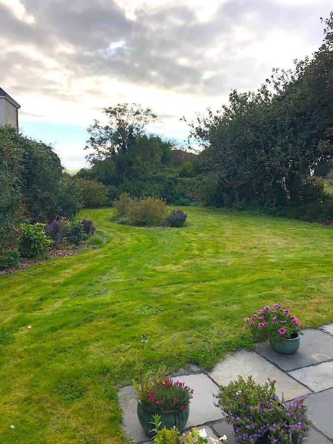 Dingle Garden Townhouse Bed & Breakfast Luaran gambar The garden of the house