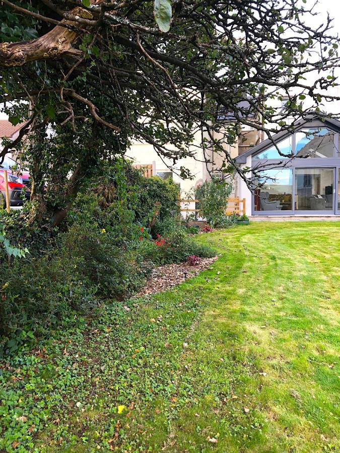 Dingle Garden Townhouse Bed & Breakfast Luaran gambar The garden of the house